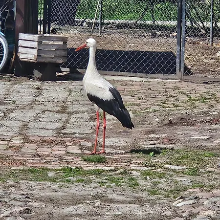 Apartmán U Heleny *