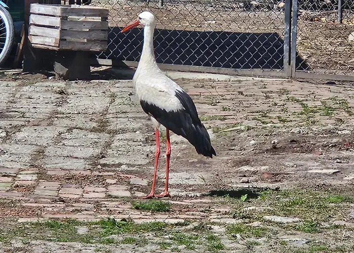 Apartamento U Heleny *